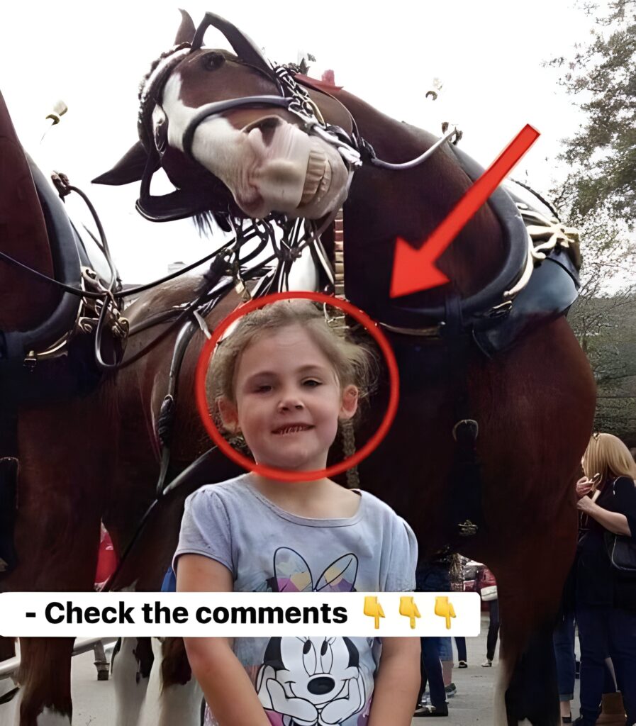 You Won’t Believe What This Dad Captured in Front of a Horse! Shocking Moment Caught on Camera!