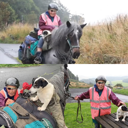 Epic Adventure: 82-Year-Old Hiker and Her Dog Return from 600-Mile Horseback Journey – Don’t Miss Their Story!