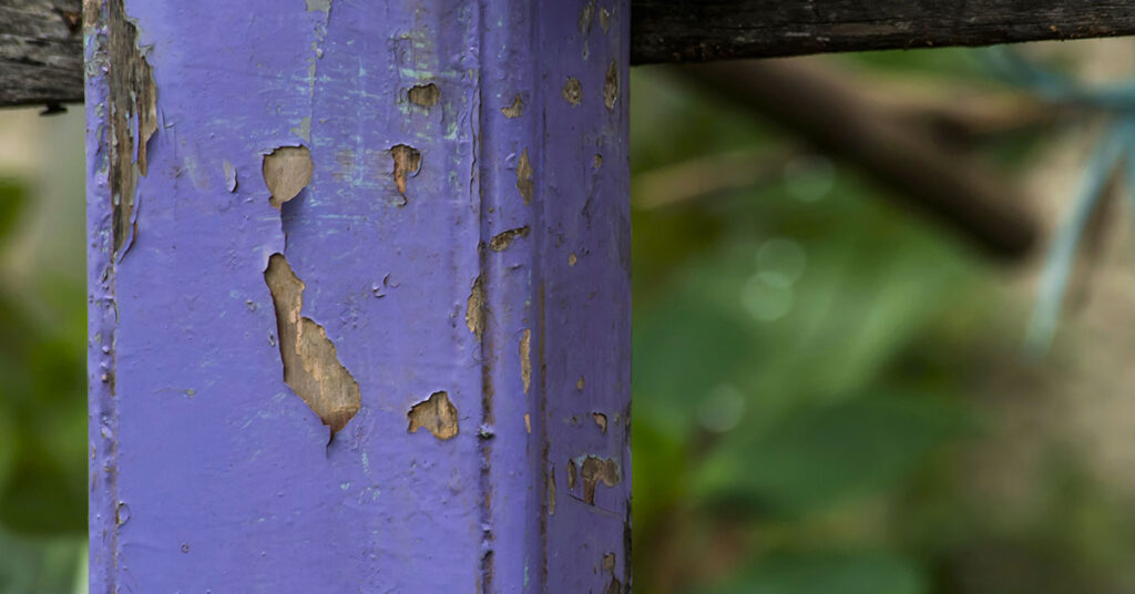 The Hidden Message Behind Purple Fences – You Won’t Believe What It Means!