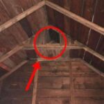 Strange small “room” in my ancient barn’s top