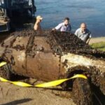 Shocking Find! Man Discovers Car at Bottom of River and Calls Police!