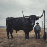 I recently spent $6,500 on this registered Black Angus bull.