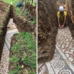 An ancient Roman mosaic has been discovered beneath a vineyard in Verona, Italy