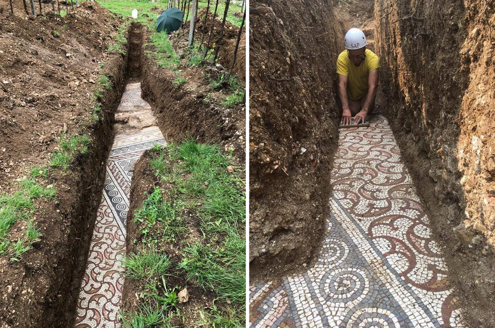 An ancient Roman mosaic has been discovered beneath a vineyard in Verona, Italy