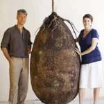 Goodbye to funeral with a coffin. In the future, this organic bag will turn a person into a tree when they leave this world.