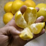 Cut a Lemon in 4 and Add Salt. Place it in the Kitchen to Change Your Life!