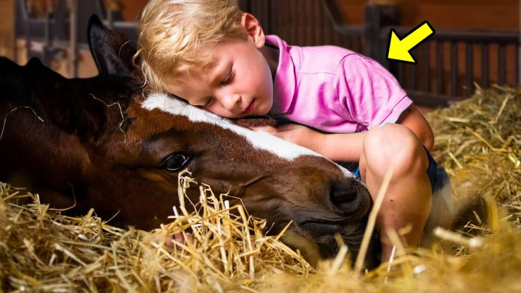 Boy and Horse Slept Together for 3 Years—You Won’t Believe What Mum Found Out!