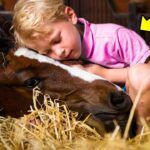 Boy and Horse Slept Together for 3 Years—You Won’t Believe What Mum Found Out!