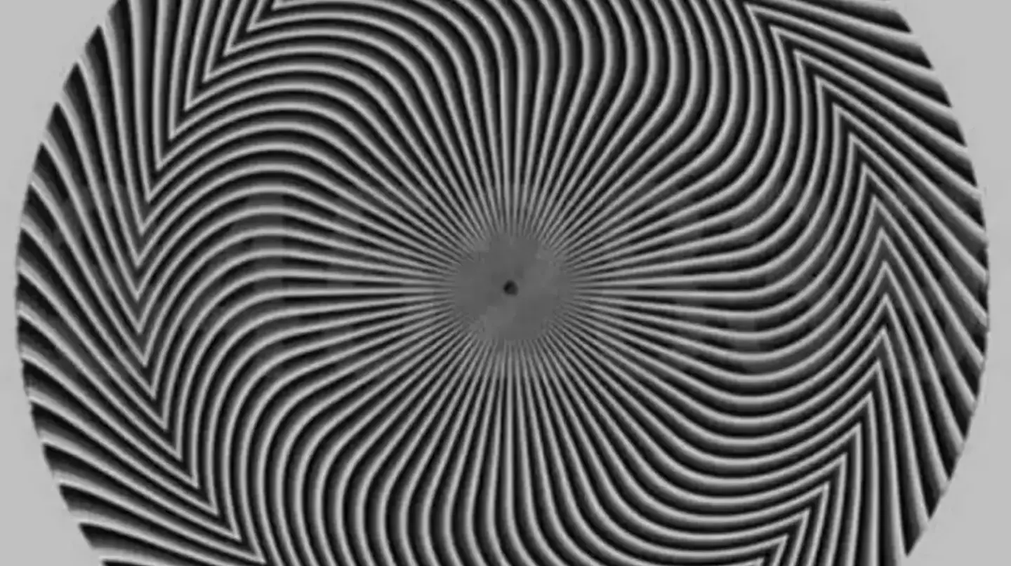 Optical Illusions: When Your Eyes Play Tricks on You