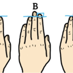 The Fascinating Link Between Finger Length and Personality