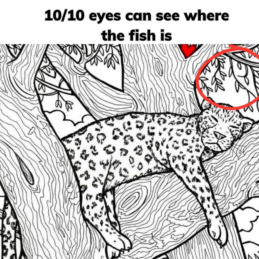 10/10 eyes can see where the fish is