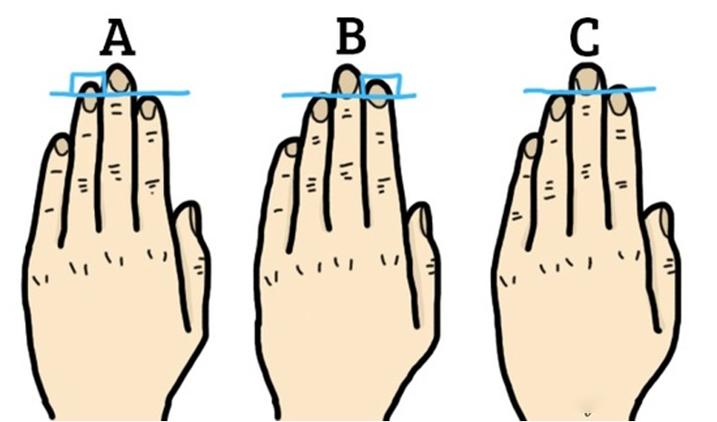 The Fascinating Link Between Finger Length and Personality