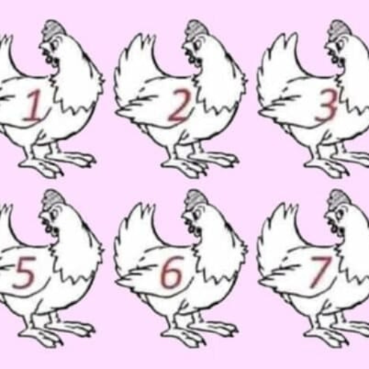 ARE YOU A GENIUS? NOBODY CAN DETERMINE WHICH CHICKEN IS DIFFERENT.