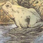 People are having trouble locating the horse hidden in this ordinary frog photograph.