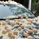 My Neighbor Threw Eggs at My Car Because It Was ‘Blocking the View’ of His Halloween Decorations