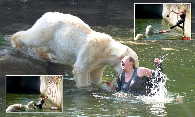 A 32-year-old woman was attacked by a polar bear after she jumped into their enclosure at the Berlin Zoo.