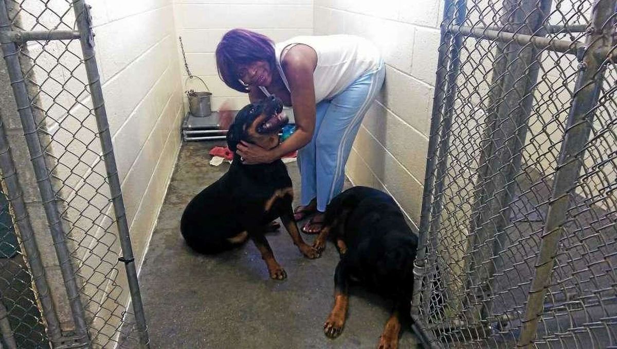 Hamden must move out of North Haven animal shelter